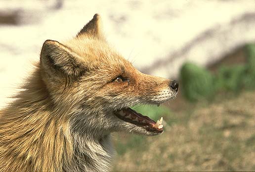 �͂��͂��E�E�E������[��(^_^;)