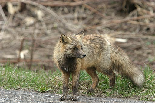 �E�ǂ��I���ǂ��I