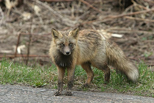 �M�����I