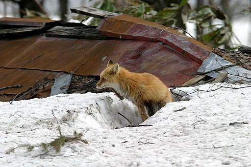 ���̌������ւ̗l�ł��B