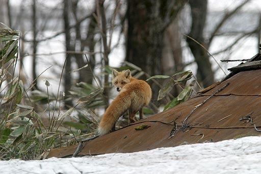 �����́A�Z�ݐS�n�ǂ������H