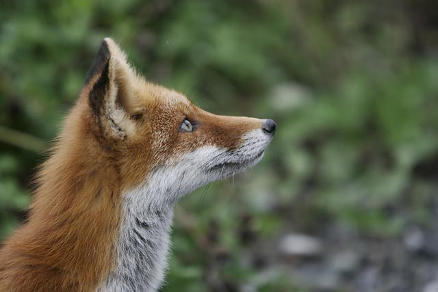 ����ȎR�̒��Ȃ̂ɂ��˂��肳�ꂽ�E�E�E(-_-;)