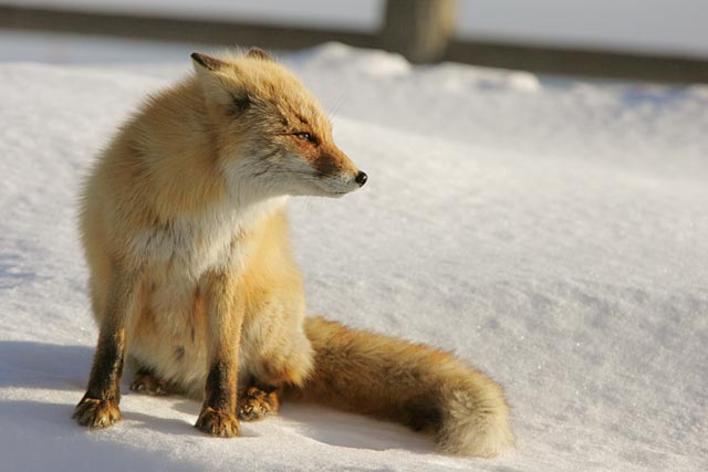 �����ڂ����āE�E�E�����v���Ă���́H