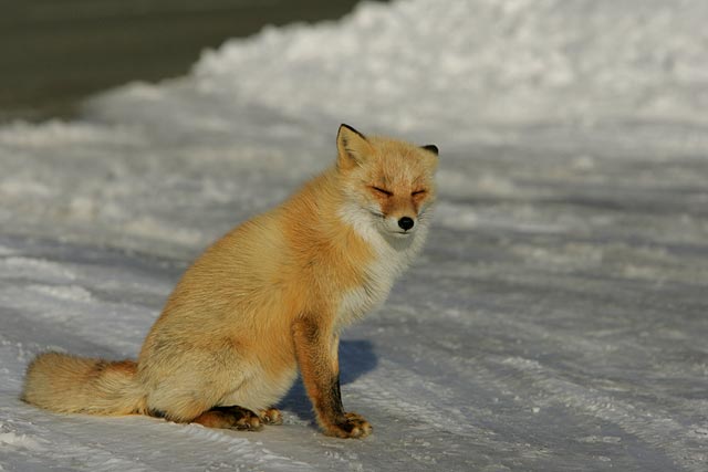 ���������A����������I����΂�I�I