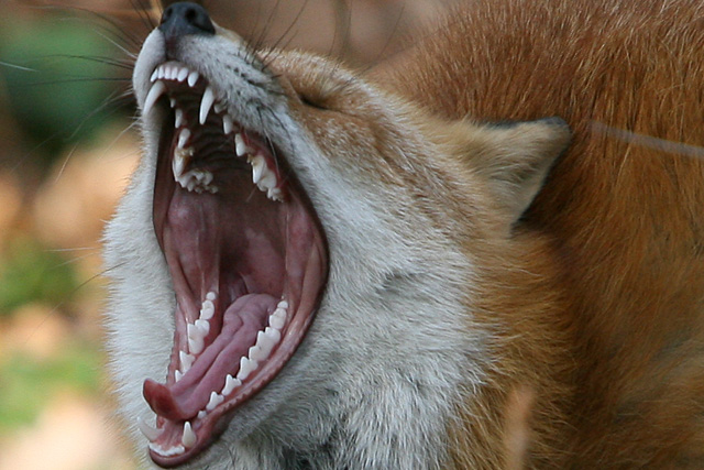 �Y��Ȏ������Ă��܂��ˁB