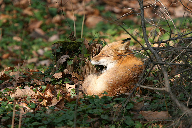 �����ŋC�����C�C��