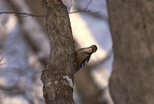 �I�I�A�J�Q���i���X�j