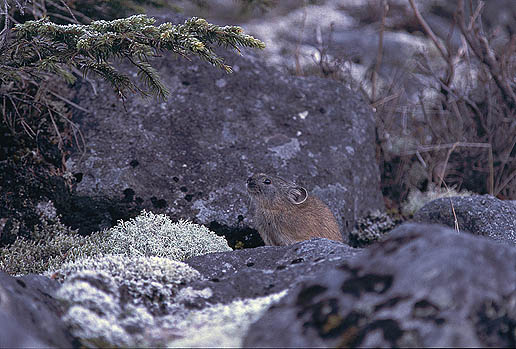 �K����ɂ�