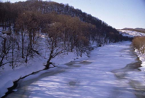 ���R����