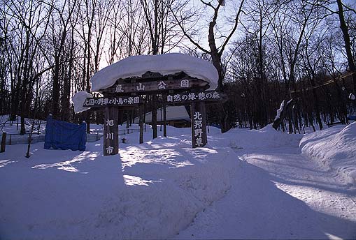 ���R����