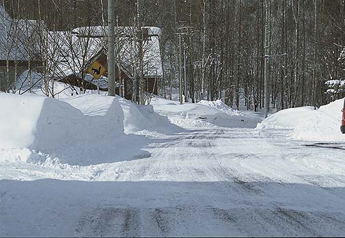 ���R�����Ɍ�������