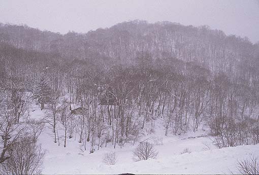 ����悤�̗��R����