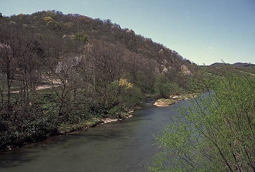 �t�̑����̗��R����