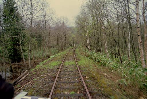 ���������āB�u���I