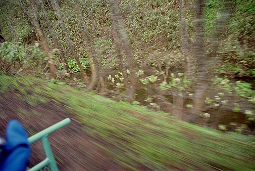 �r���A���m�Ԃ̌Q�����I