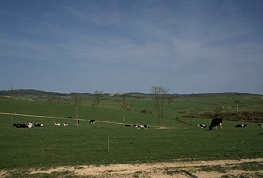 �ʂĂ��Ȃ��Y��Ȗq��