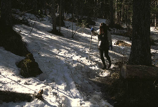 �}���I�}���I�@���͂�E���͂�I