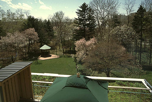 ���V�C�Ƀe���X���f����