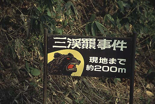 ����͌F��