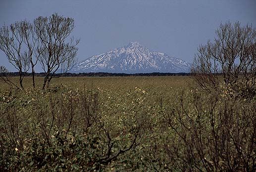 �y������