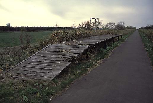 ��s��O�w�H�w�O�͉����Ȃ��I