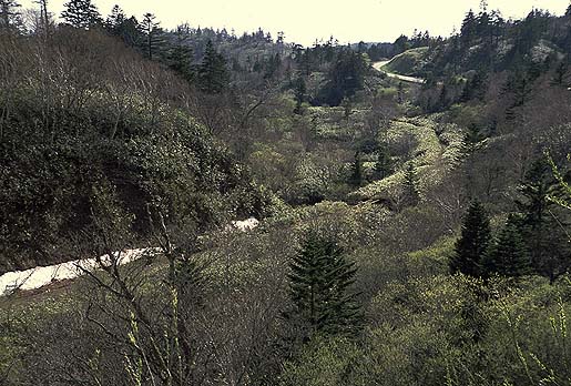 ���炢�R���ł��B