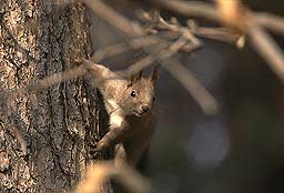 �N���b�N����Ɗg��ʐ^