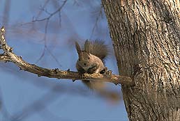 �N���b�N����Ɗg��ʐ^