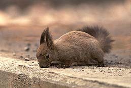 �N���b�N����Ɗg��ʐ^ ��44K