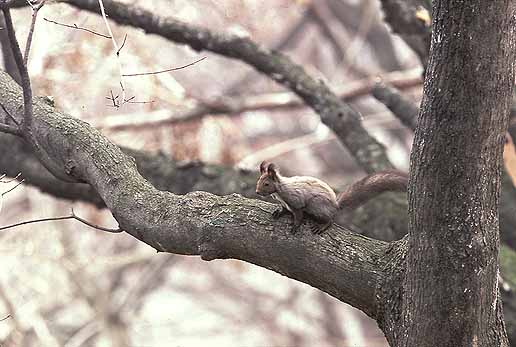 �a�͂ǂ��ɒu�����񂾂����H