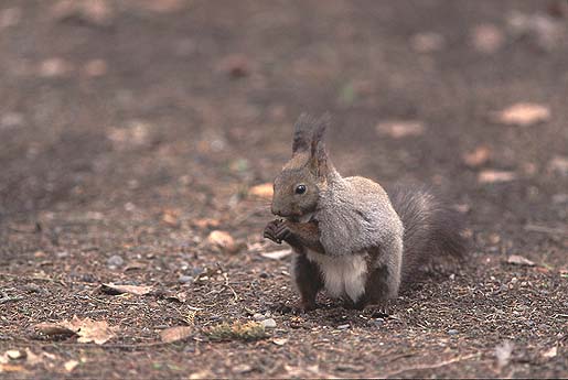 �Y������Ȃ��̂�`�I �ĕ��ɒ��ւ����ł��B