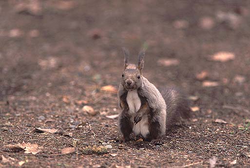 ���񂽁I�����Ă�̂�I�i��͋����H�j