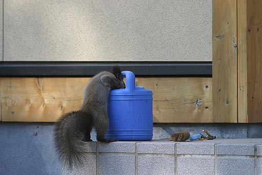 �A���킢���������`�I