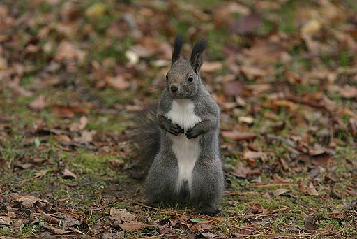 ����ɂ��́B�������ǂȂ��H