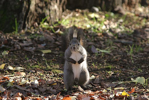 ������ƃA���^�I�Ȃ�Ȃ̂��̉��炵���́I