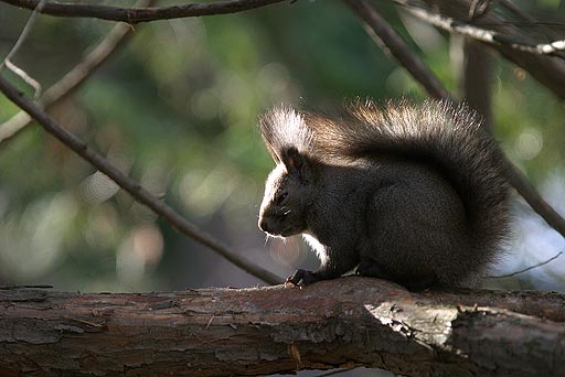 �����ł�����B