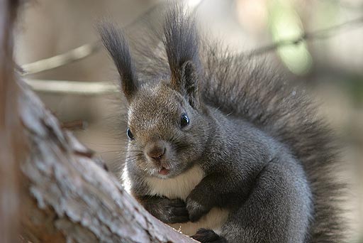 �y�y�y�E�E�E