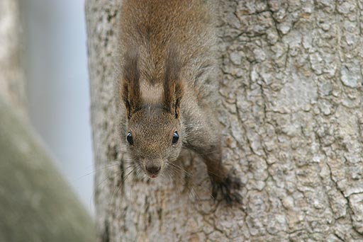 �����邨����E�E�E