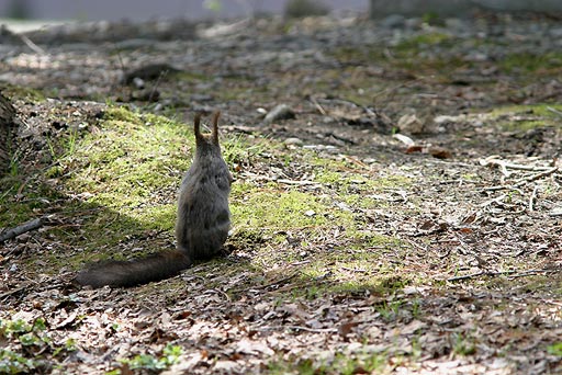 ���������A�|�J�|�J������