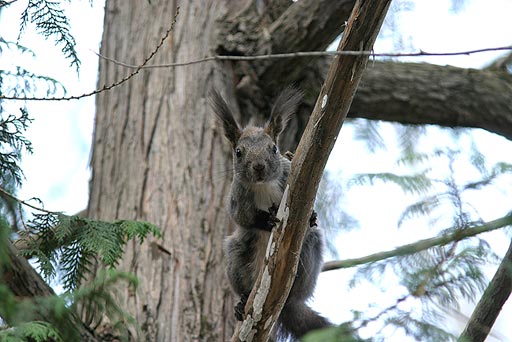 �ڂ��A�E�h��؂���Ȃ��悧�B