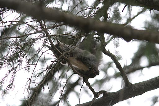 �}���ő������Ȃ�����I