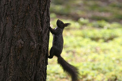 �ؓo��Ȃ�܂����āI(^^�U