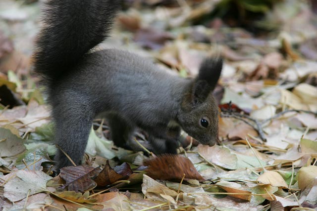 �A�^�^�^�^�^�^�^�@�I�I�@��@��I