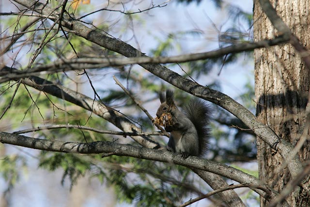 ���Ƃɉ^�Ԃ��[�I