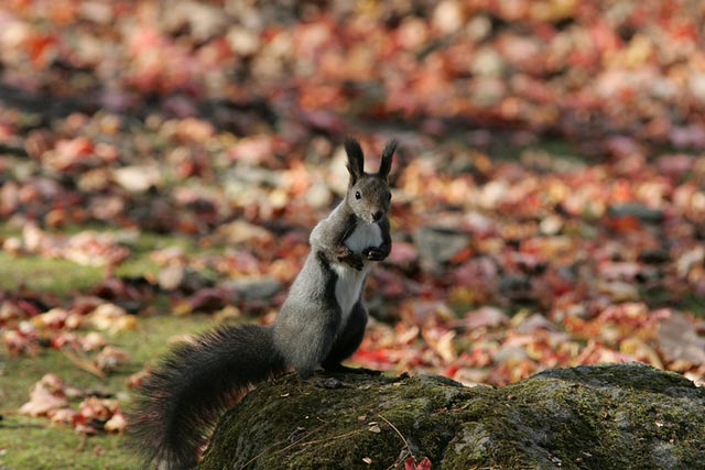 �Y��ɎB���Ă�