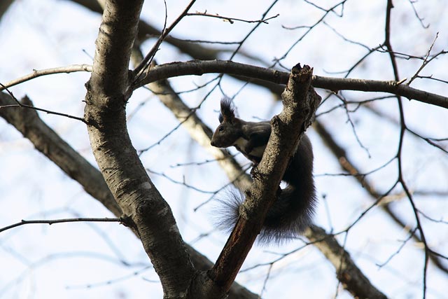 ���炠�A�l�ԂɂȂ񂩂��܂��Ă��˂��B