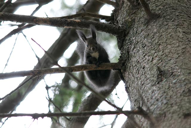 ����ɂ��́I�@�܂���ɗ������