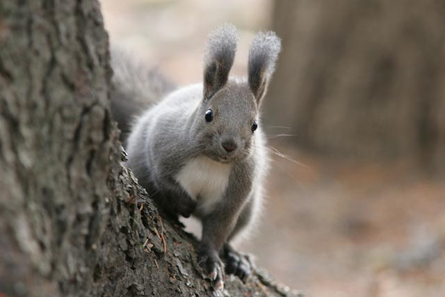 ���t�􂩂킢����