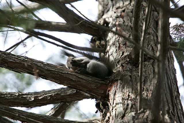 ���J�ɉ��x���ёU���B