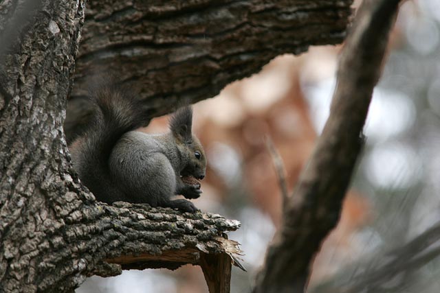 �K���K���K���I�I